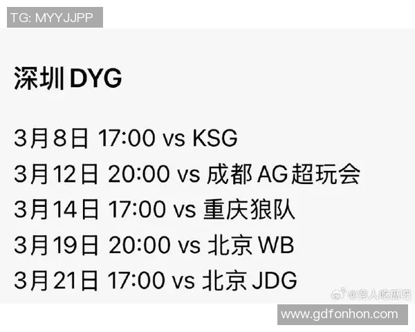 赛后分析：JDG与WE的耐力较量与战术深度探讨